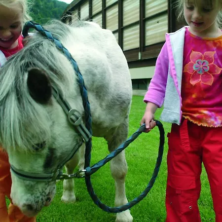 Steindl Otel Millstatt