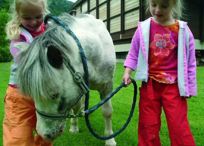 Steindl Hotel Millstatt